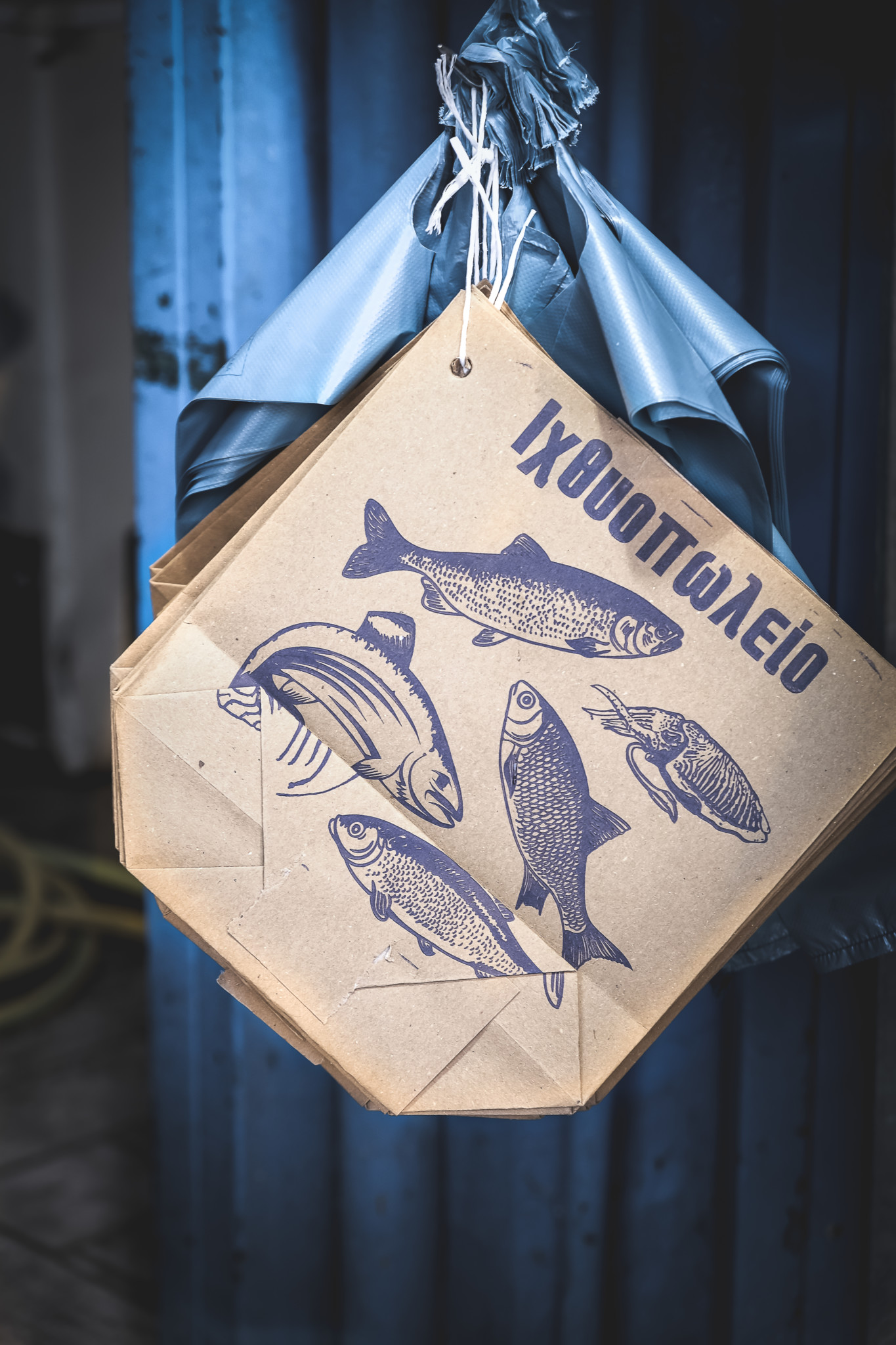 sac poisson (1 sur 1)