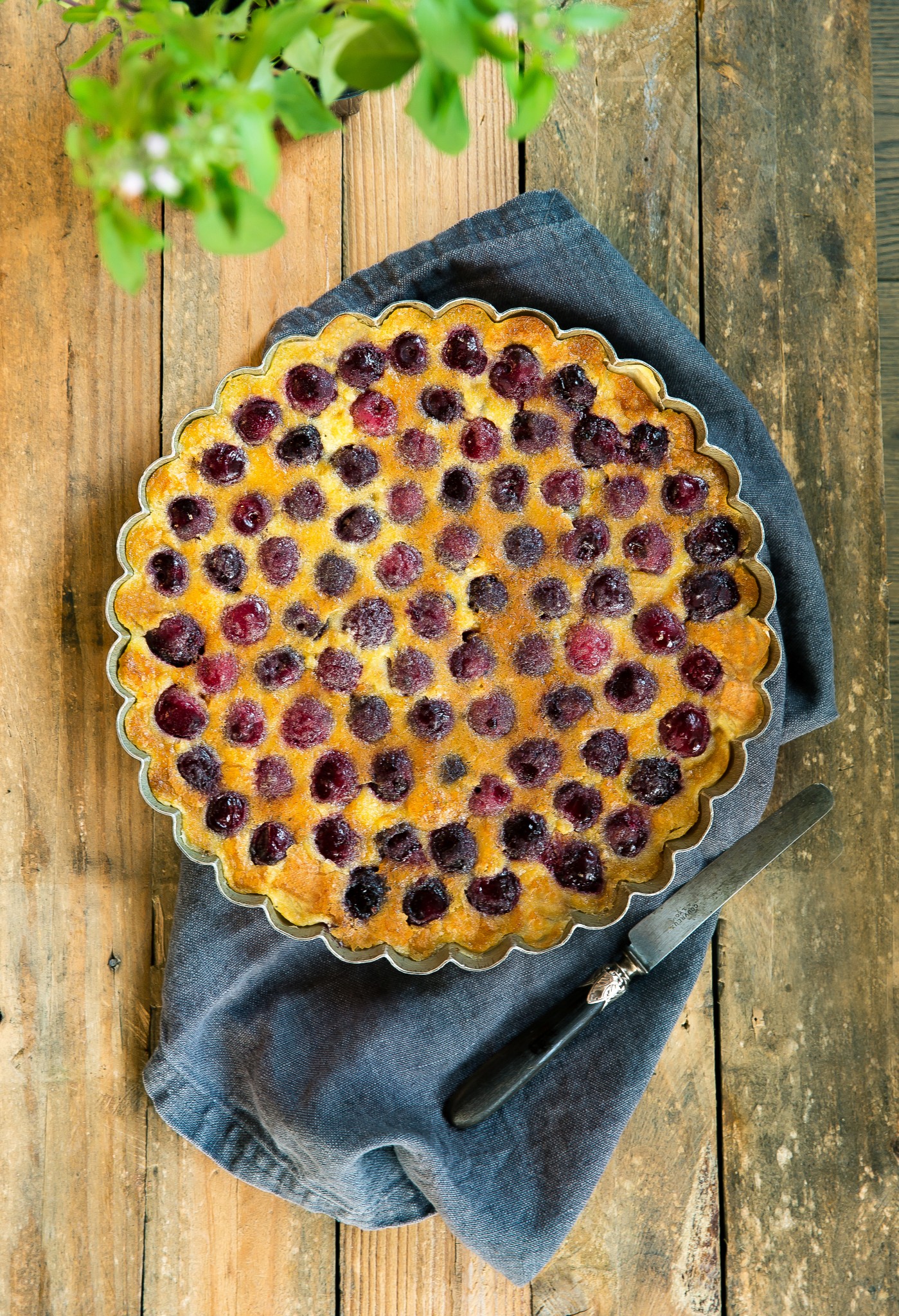 clafoutis aux cerises (1 sur 1) copie