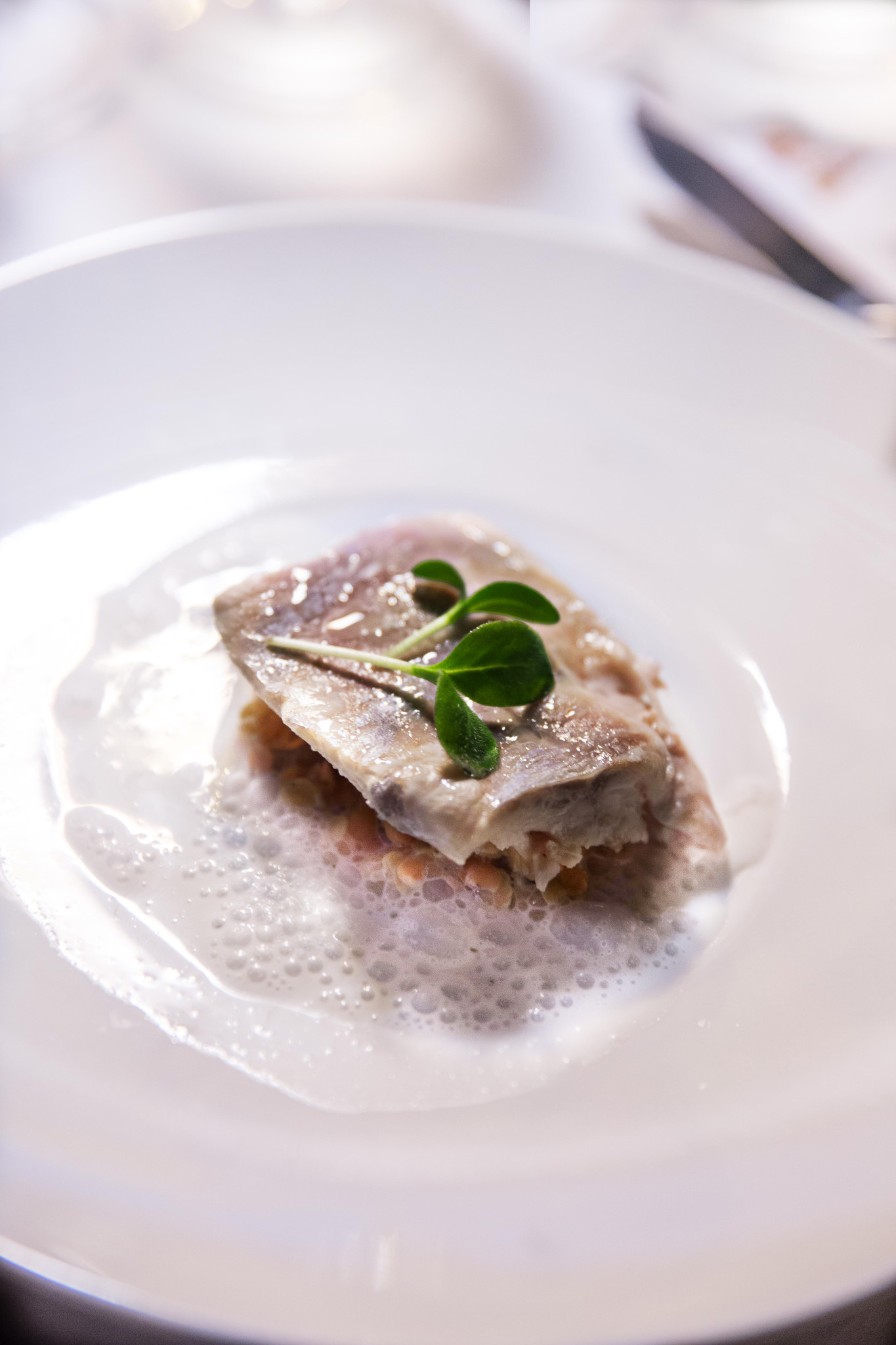 Filet d'omble chevalier, émulsion au thé vert, lentille corail et menthe Jeremy galvan DEF