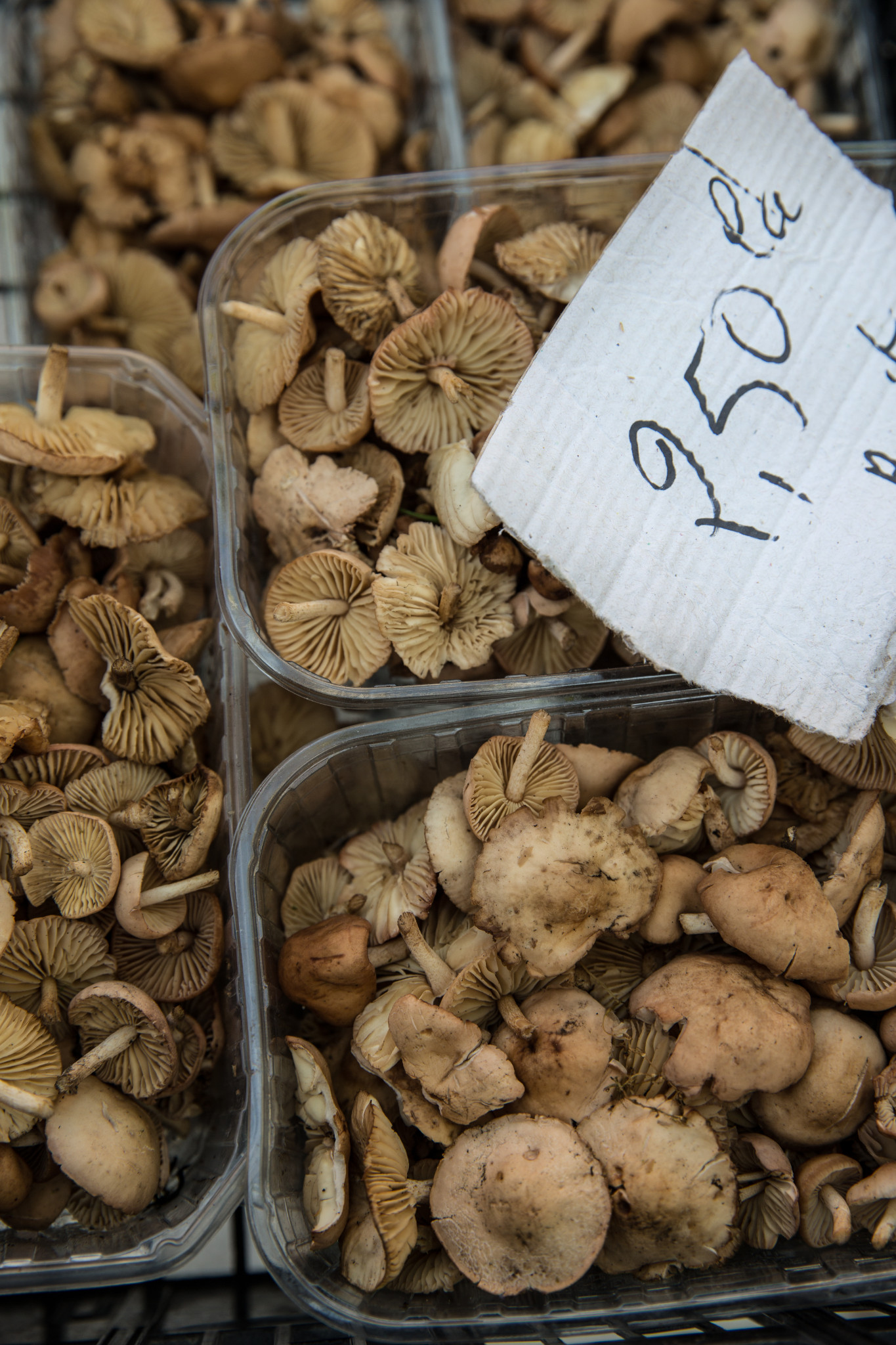 Marché montbrison mousserons (1 sur 1)