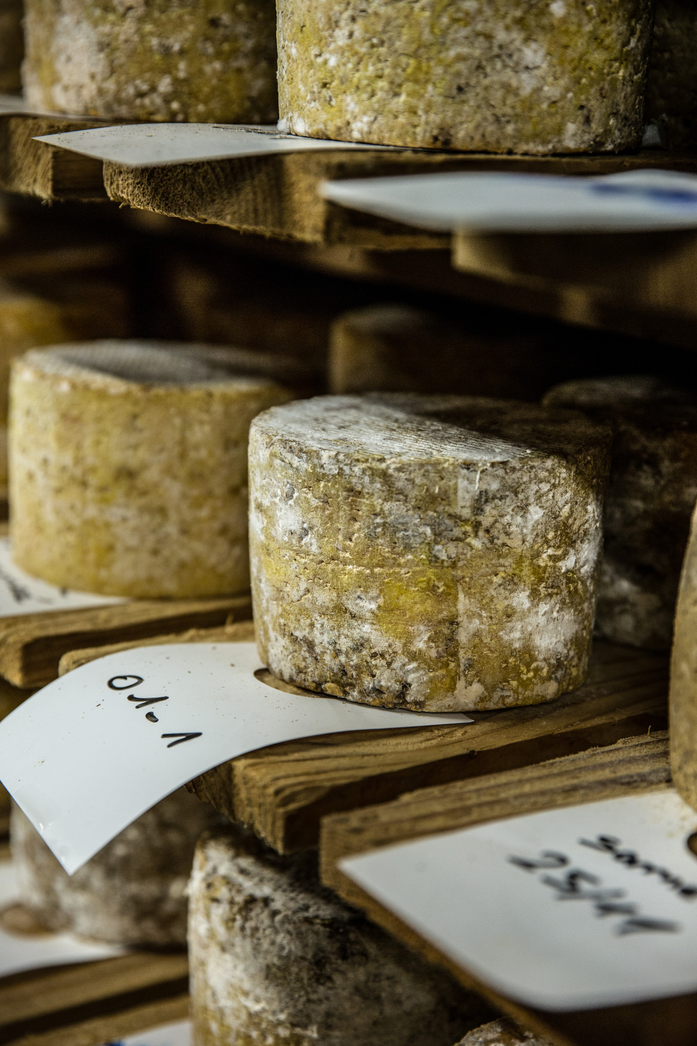 affinage de la tomme fromagerie hautes chaumes