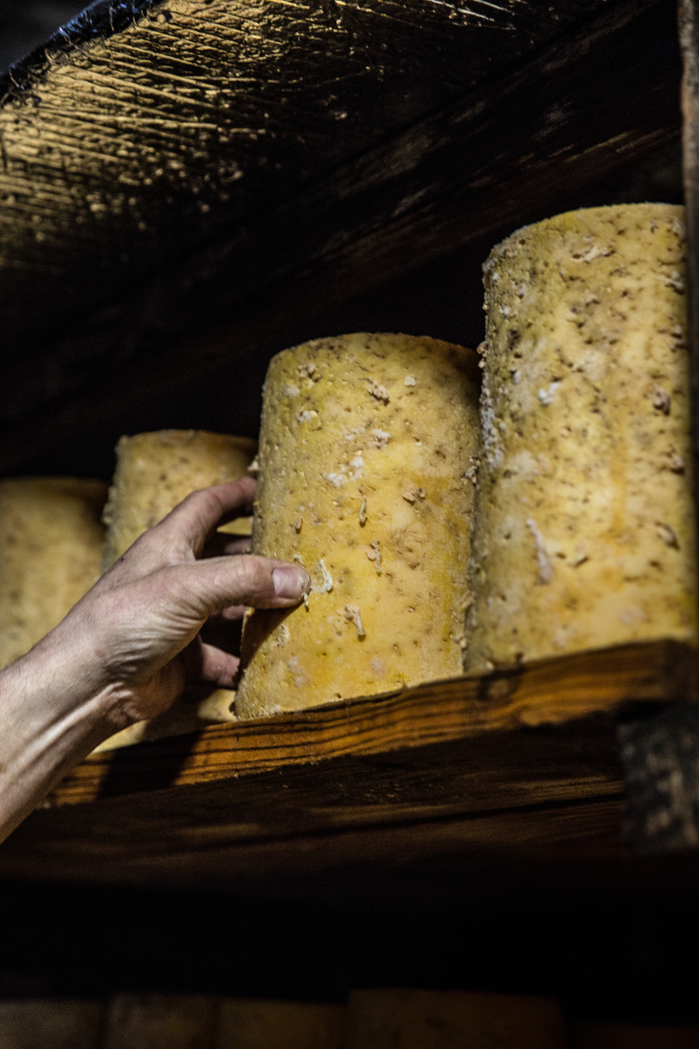 affinage fourme montbrison fromagerie hautes chaumes