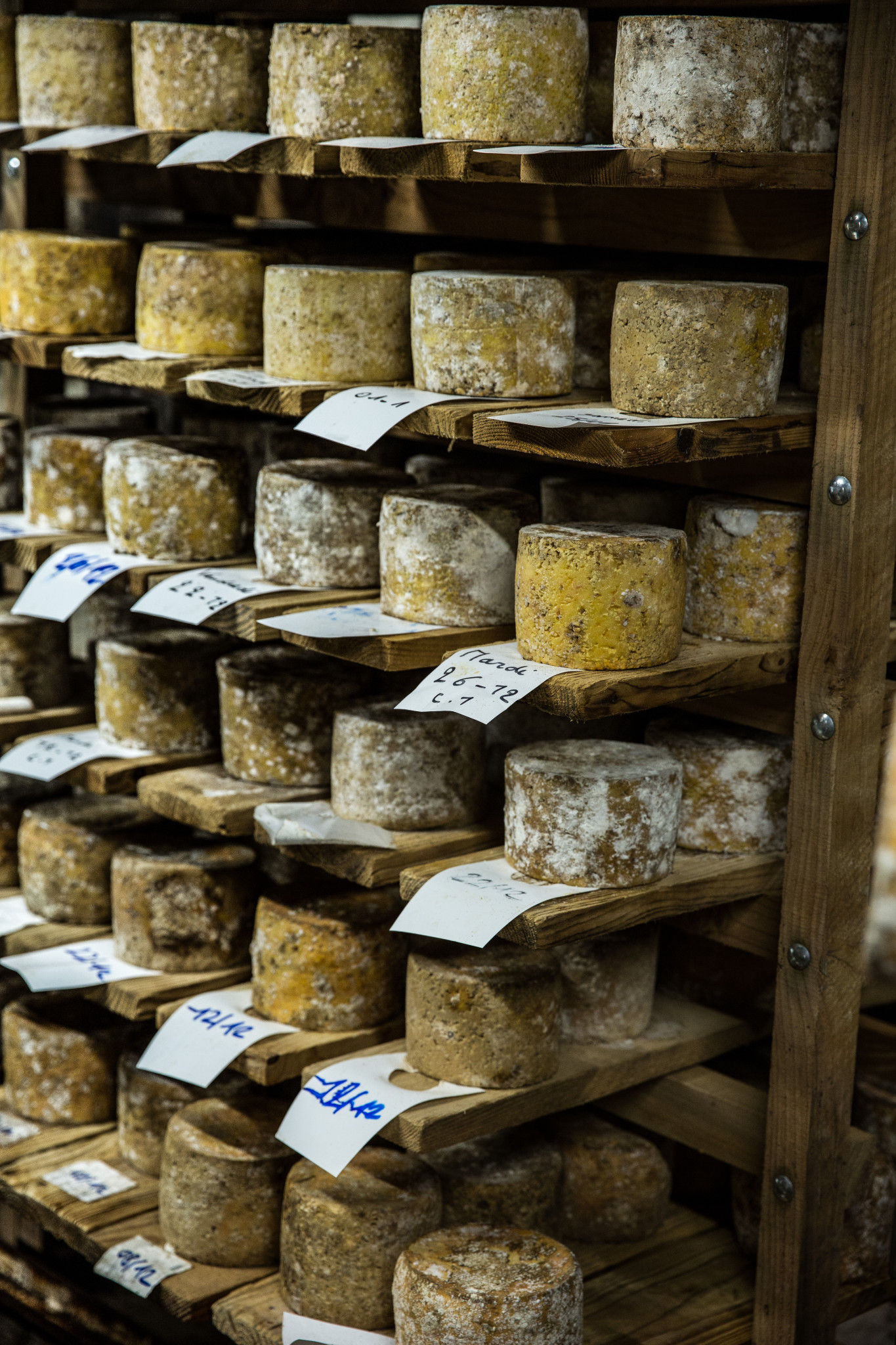 affinage tomme fromagerie hautes chaumes